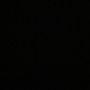 Meet your Posher, Sammy